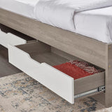 Jamie Queen Bed with Storage - 160x200 cm - Homeclara